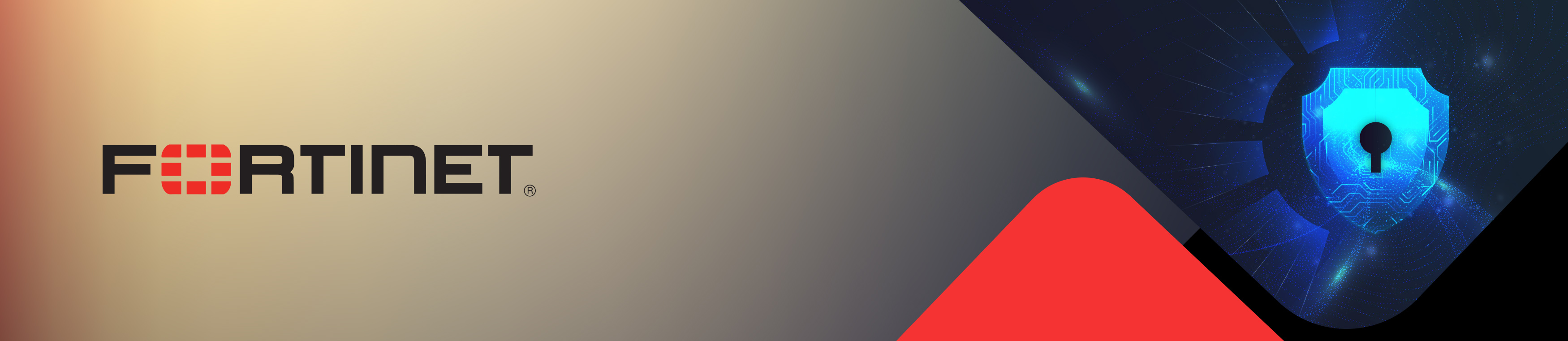 banner 1